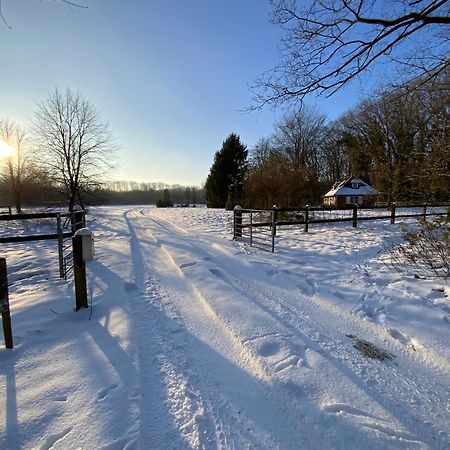 Vakantiewoning Heidebos In Het Nationaal Park Hoge Kempen Opglabbeek Ngoại thất bức ảnh