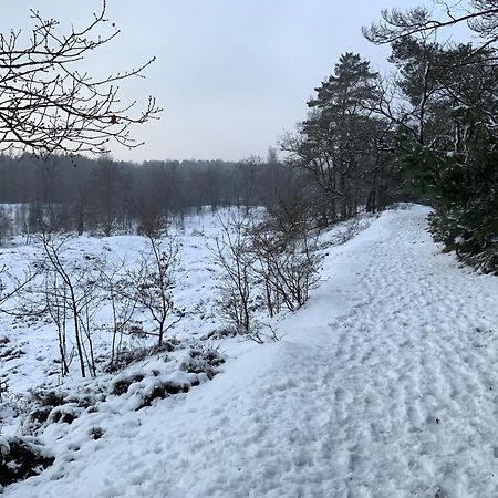 Vakantiewoning Heidebos In Het Nationaal Park Hoge Kempen Opglabbeek Ngoại thất bức ảnh