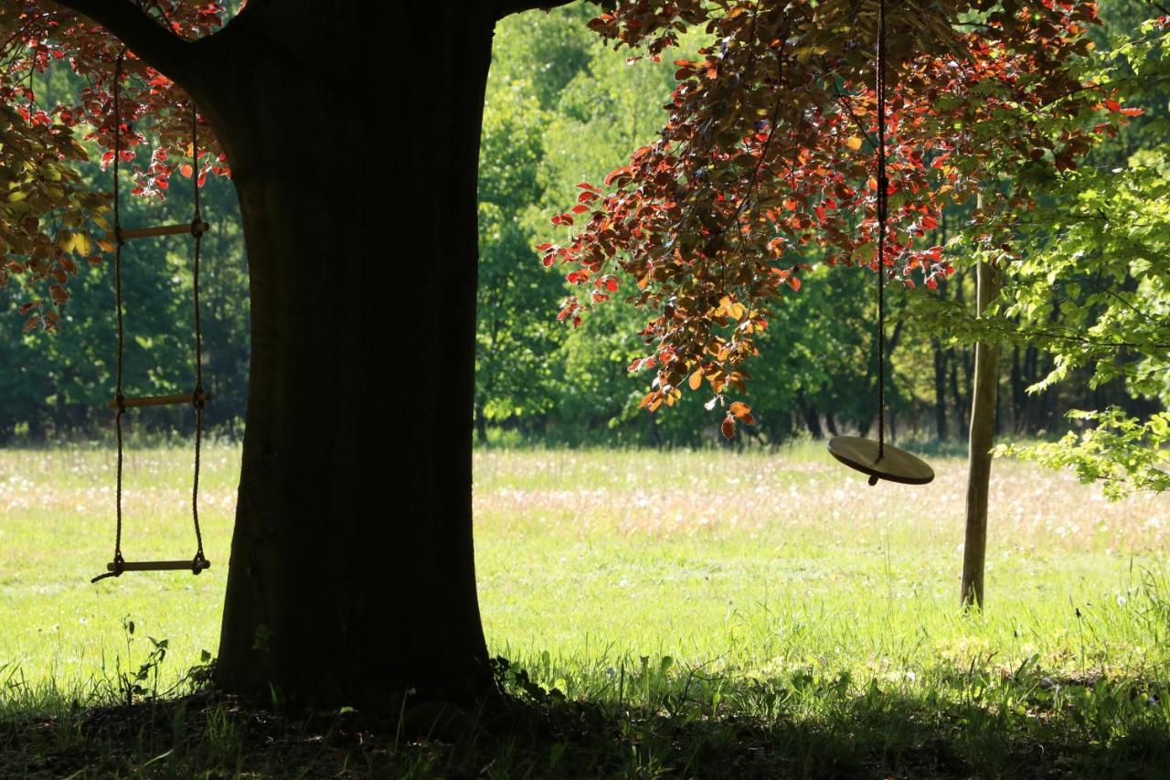 Vakantiewoning Heidebos In Het Nationaal Park Hoge Kempen Opglabbeek Ngoại thất bức ảnh