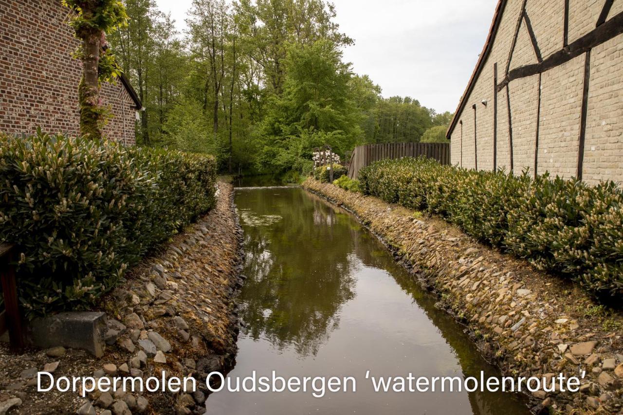 Vakantiewoning Heidebos In Het Nationaal Park Hoge Kempen Opglabbeek Ngoại thất bức ảnh