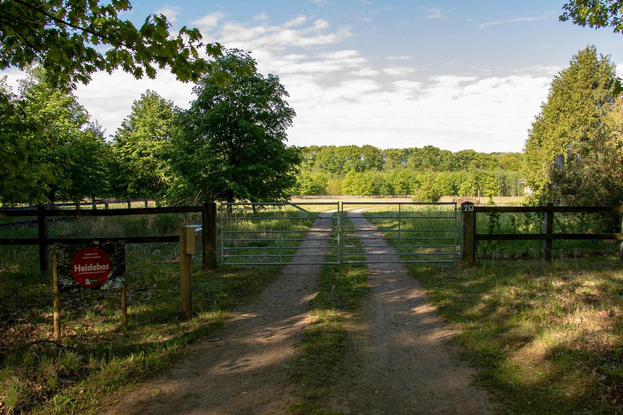 Vakantiewoning Heidebos In Het Nationaal Park Hoge Kempen Opglabbeek Ngoại thất bức ảnh