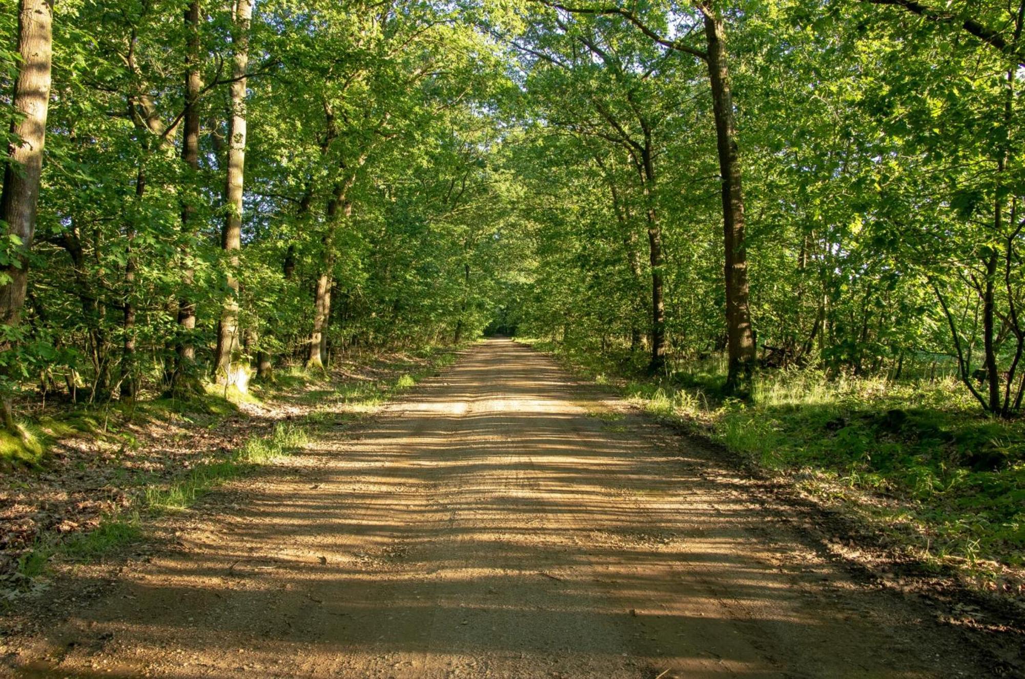 Vakantiewoning Heidebos In Het Nationaal Park Hoge Kempen Opglabbeek Ngoại thất bức ảnh