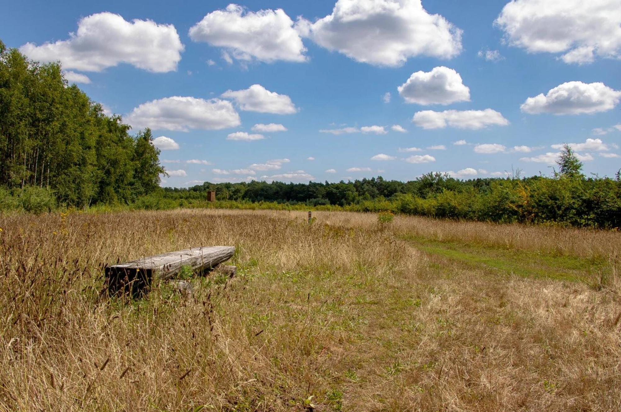 Vakantiewoning Heidebos In Het Nationaal Park Hoge Kempen Opglabbeek Ngoại thất bức ảnh