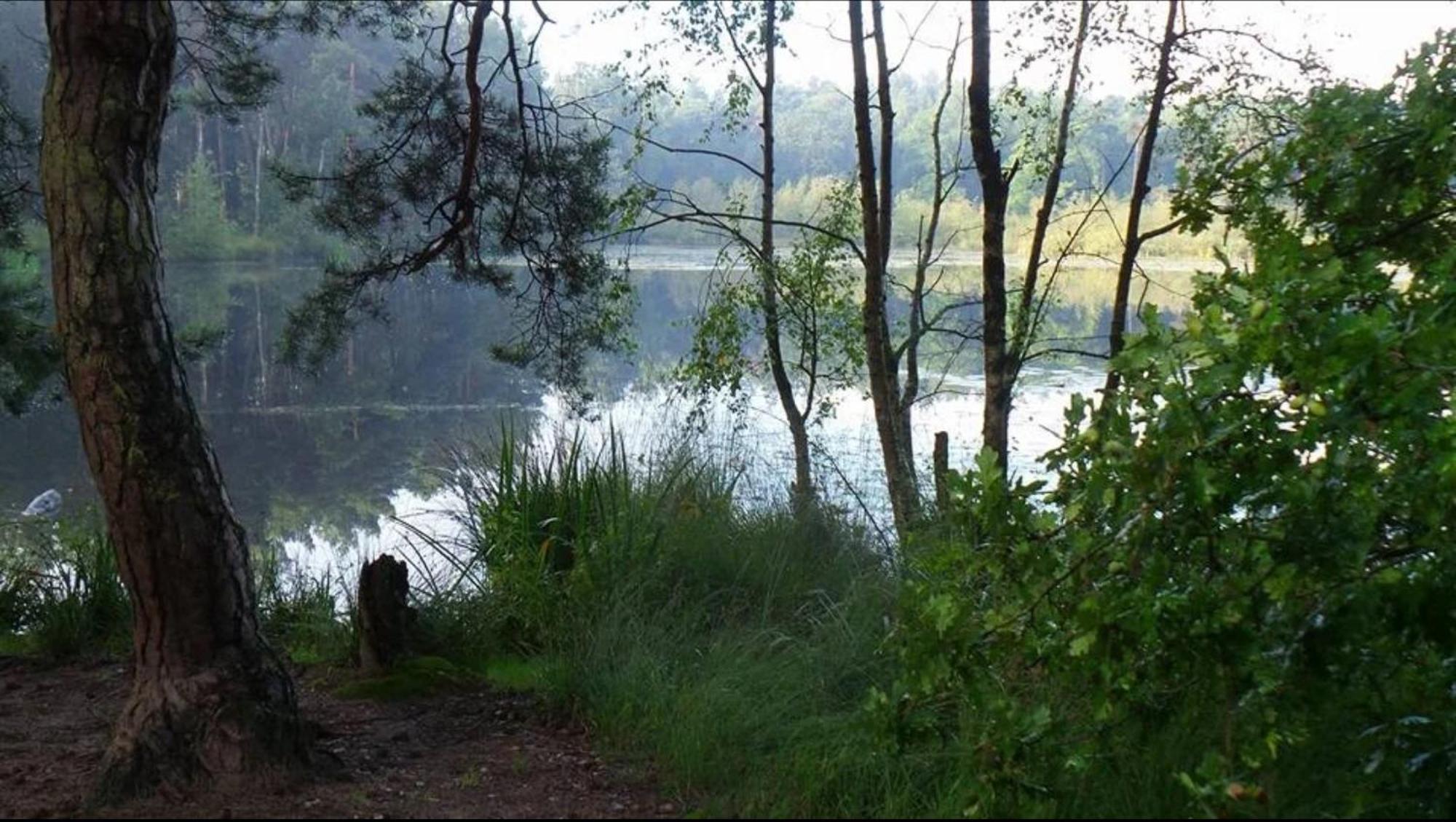 Vakantiewoning Heidebos In Het Nationaal Park Hoge Kempen Opglabbeek Ngoại thất bức ảnh