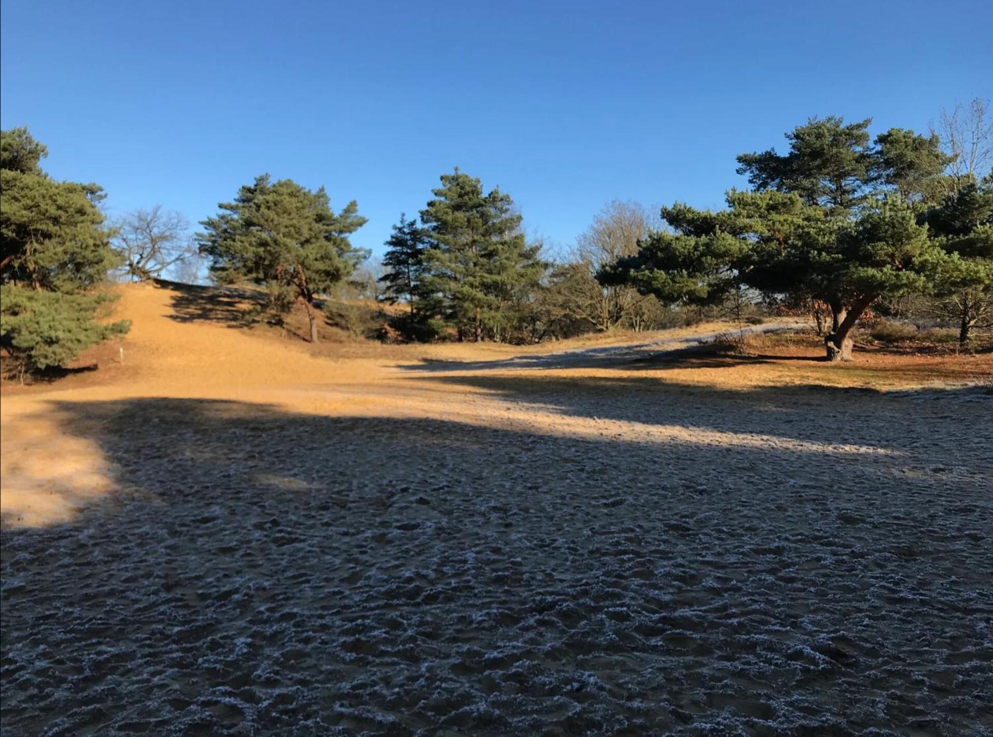Vakantiewoning Heidebos In Het Nationaal Park Hoge Kempen Opglabbeek Ngoại thất bức ảnh