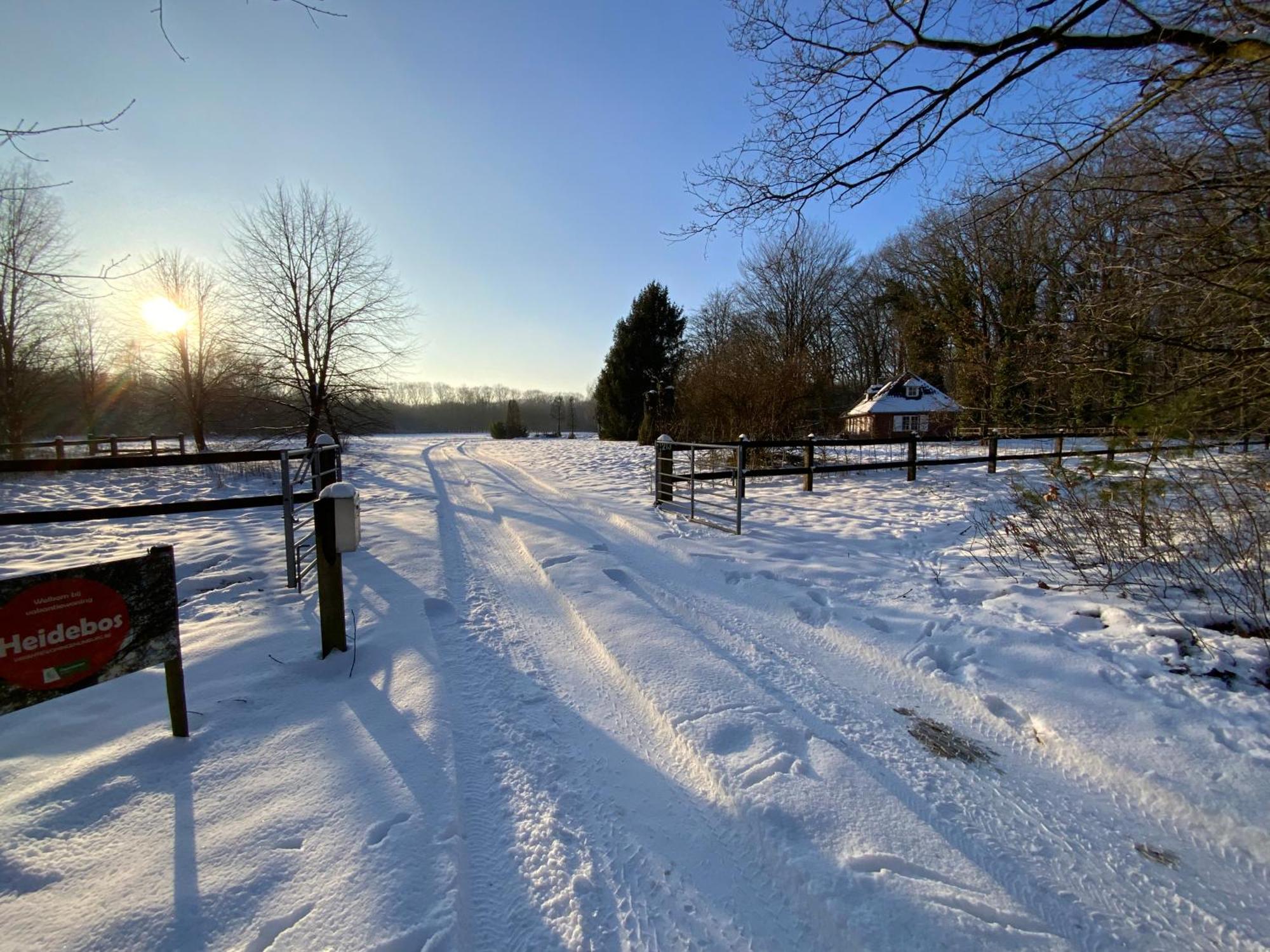 Vakantiewoning Heidebos In Het Nationaal Park Hoge Kempen Opglabbeek Ngoại thất bức ảnh