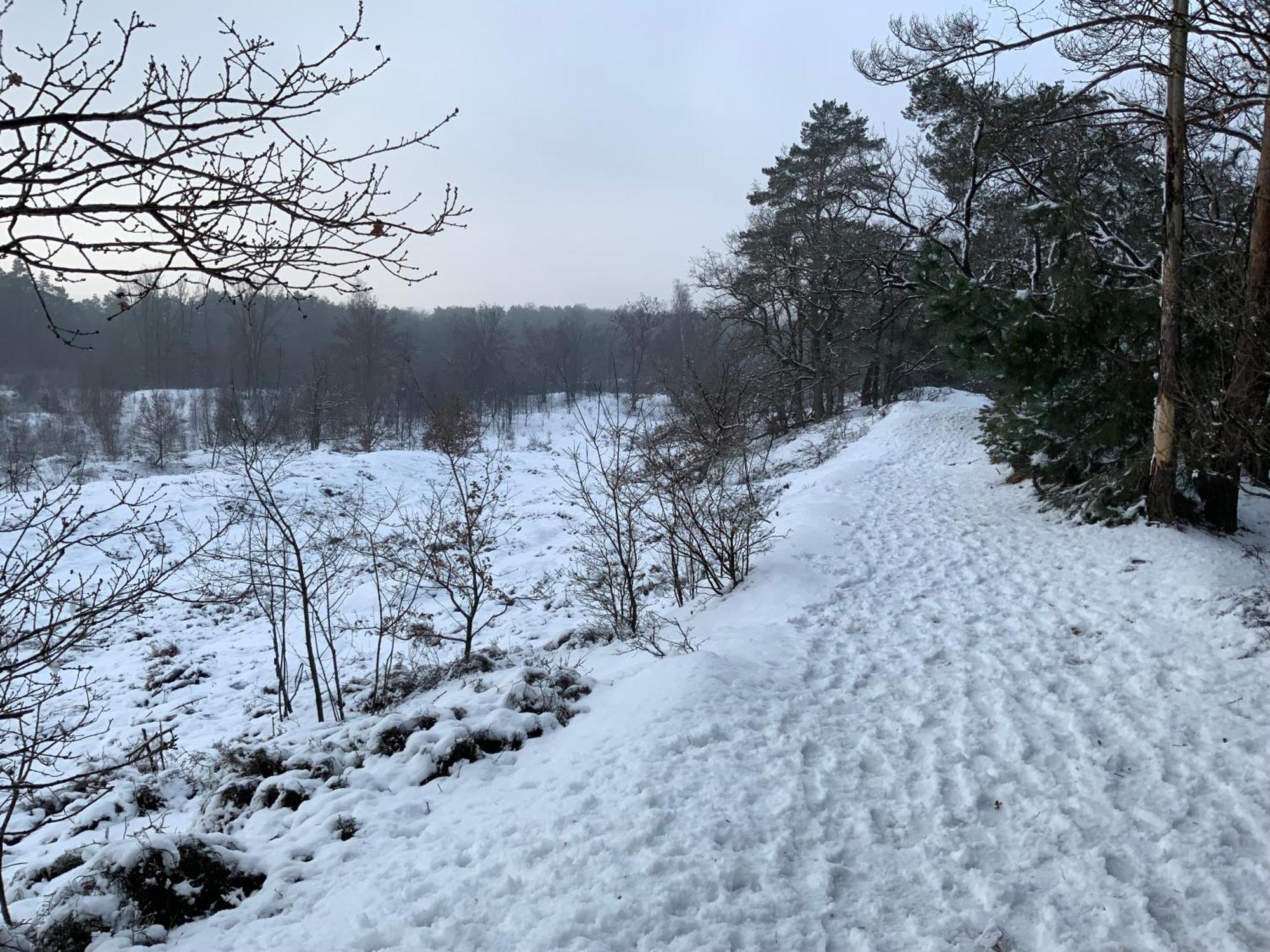 Vakantiewoning Heidebos In Het Nationaal Park Hoge Kempen Opglabbeek Ngoại thất bức ảnh